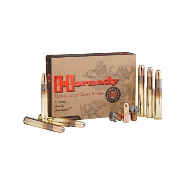 Ammo 375 Ruger 300gr Dgx-B (20)
