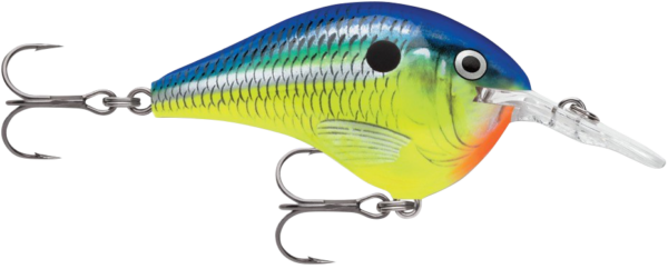 Lures Dt08prt Dive To Series #8 Parrot