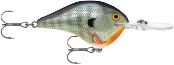 Lures Dt10bg Dive To Series #10 Blue Gill