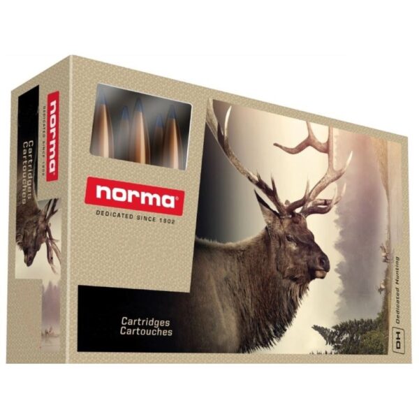 Ammo 458 Lott 550gr Rnsn 10