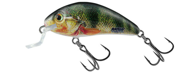 Rattlinhornet Shallow 4.5cm Supernatural Perch