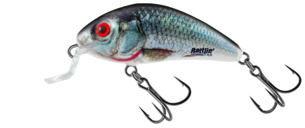 Rattlinhornet Shallow 3.5cm Holograpic Real Dace